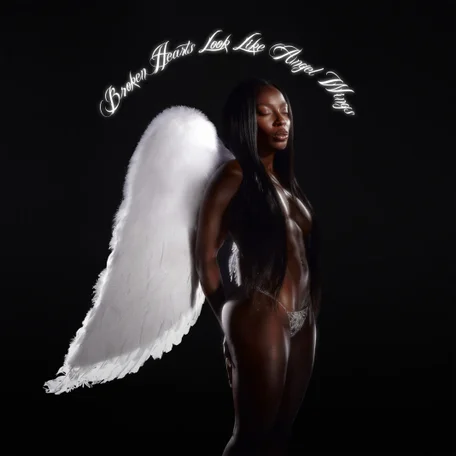 Broken Hearts Look Like Angel Wings