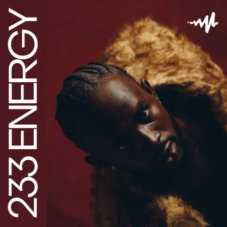 233 Energy